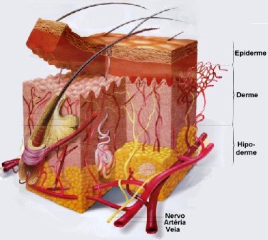 dermatologia no rio de janeiro